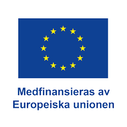 EU-flagga med text: Medfinansieras av Europeiska Unionen